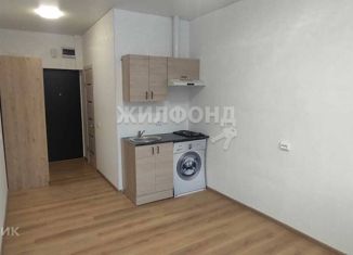 Продам квартиру студию, 17.2 м2, Новосибирск, Сухановская улица, 6А, метро Заельцовская