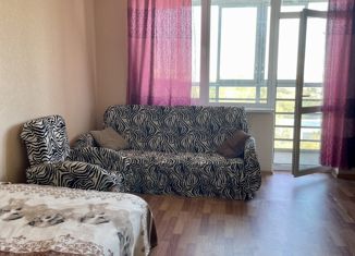 Продаю квартиру студию, 28.8 м2, Екатеринбург, улица Лётчиков, 7, улица Лётчиков