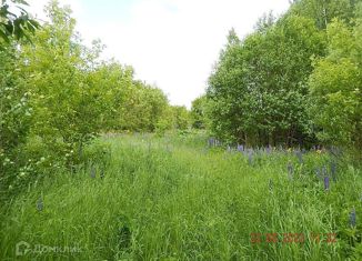 Продажа земельного участка, 6240 сот., деревня Березовка