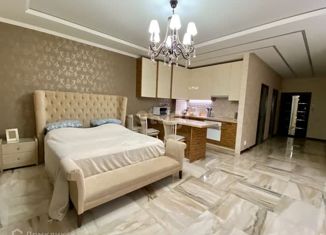 Продается квартира студия, 53.5 м2, Краснодар, Кубанская набережная, 33, микрорайон Центральный