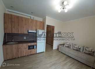 Продаю квартиру студию, 25 м2, Ростов-на-Дону, ЖК Пятый Элемент, улица Ерёменко, 114