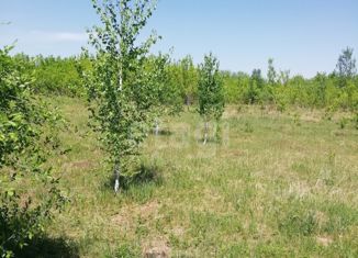 Продается земельный участок, 14 сот., село Алтайское, Заводская улица