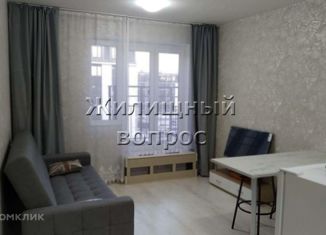 Сдается квартира студия, 23 м2, Пушкин, Камероновская улица, 5к2, ЖК Инкери