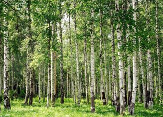 Продаю земельный участок, 7.9 сот., СНТ Берёзовая Роща, СНТ Берёзовая Роща, 122