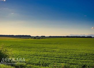 Продажа земельного участка, 822 сот., село Дмитриевка