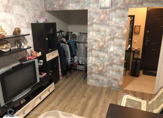 Продаю 1-комнатную квартиру, 28.5 м2, посёлок Берёзовый, улица имени Туполева А.Н., 1, ЖК Прогресс