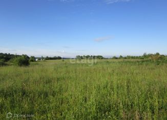 Участок на продажу, 12 сот., село Елизаветинское