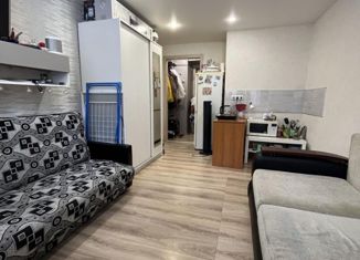 Продажа квартиры студии, 18.4 м2, Нижний Новгород, улица Чаадаева, 4, Московский район