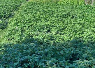 Продается земельный участок, 6 сот., Тобольск, Урожайная улица