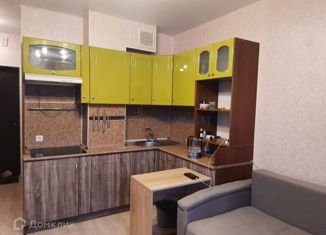 Продажа 1-комнатной квартиры, 19.2 м2, Нижегородская область, Инженерный проезд, 5