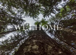 Продажа участка, 48 сот., деревня Веледниково, Живописная улица, 69