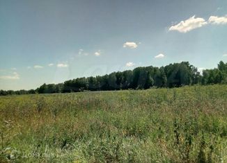 Участок на продажу, 240 сот., городской округ Тюмень