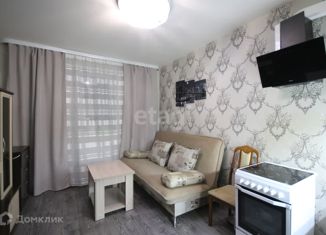 Продажа квартиры студии, 21.5 м2, Новый Уренгой, микрорайон Дружба, 4/3