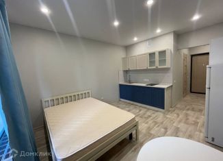 Сдается квартира студия, 28 м2, Санкт-Петербург, улица Фёдора Котанова, 3к2, ЖК Звёзды Столиц