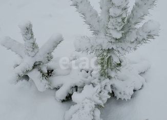 Продается дом, 90 м2, СНТ Электрон-2