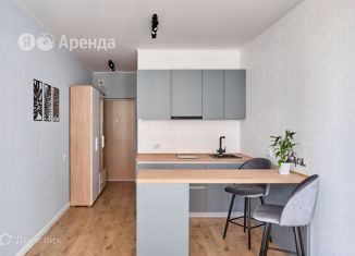 Сдаю квартиру студию, 22 м2, посёлок Парголово, Толубеевский проезд, 8к2