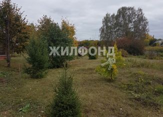 Продажа дома, 63.6 м2, поселок Факел Революции, улица Берёзовая роща