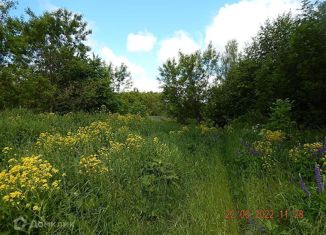 Участок на продажу, 6240 сот., деревня Березовка