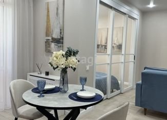 Продаю квартиру студию, 45 м2, Самара, улица Соколова, 32, метро Российская