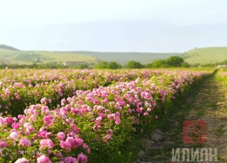 Продаю участок, 8 сот., село Тургеневка, Сосновый переулок
