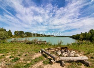 Продам дом, 280 м2, деревня Гридино, Солнечная улица, 8