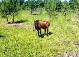 Продажа участка, 14 сот., коттеджный посёлок Белугино