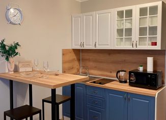 Квартира на продажу студия, 19.5 м2, посёлок Парголово, Толубеевский проезд, 8к2