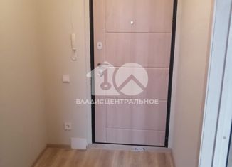 Продается 1-комнатная квартира, 29.8 м2, Новосибирск, Красный проспект, 329, ЖК Инфинити