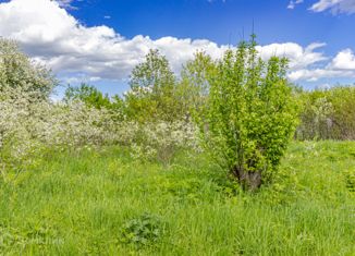 Продаю земельный участок, 23 сот., деревня Токарево