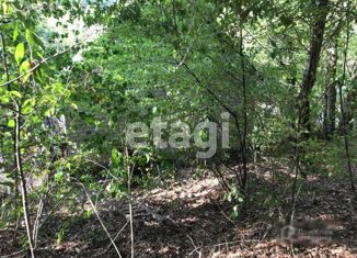 Продается дом, 30 м2, садовое товарищество Пищевик, улица Дружбы