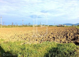 Продам участок, 215 сот., поселок Ачи, улица Умаханова, 1