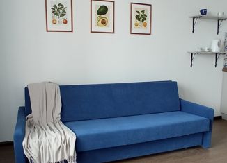 Сдается в аренду квартира студия, 30 м2, Санкт-Петербург, Яхтенная улица, 34, ЖК Мореокеан