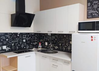 Продаю квартиру студию, 29.6 м2, Санкт-Петербург, ЖК Галактика, Парфёновская улица, 9к1с1