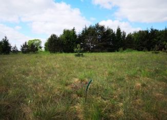 Продажа земельного участка, 13 сот., деревня Заборовье