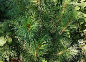 Продам земельный участок, 6 сот., садовое товарищество Весна