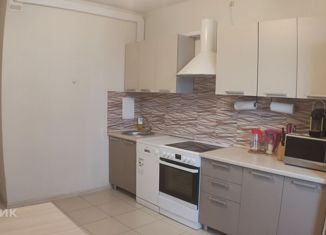 Продается 1-комнатная квартира, 39.3 м2, Санкт-Петербург, проспект Королёва, 73, ЖК Каменка