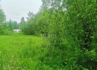 Продам участок, 10.5 сот., садоводческое товарищество Лесное-2, садоводческое товарищество Лесное-2, 515