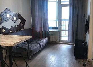 Квартира в аренду студия, 30 м2, Новосибирск, улица Сибревкома, 9