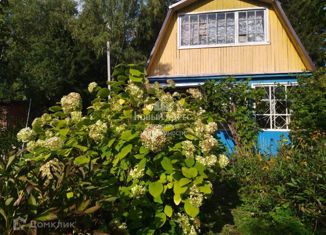 Продается дом, 41 м2, поселок Новый, посёлок Новый, 52