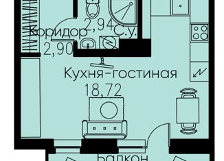 Продажа квартиры студии, 26.51 м2, Кудрово, проспект Строителей, 3