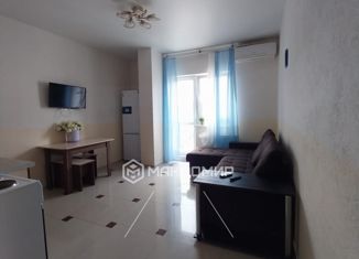 Продажа квартиры студии, 24.6 м2, село Мысхако, Шоссейная улица, 23