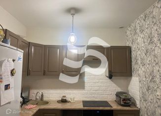 Продам квартиру студию, 32 м2, Санкт-Петербург, Богатырский проспект, 49к1, муниципальный округ № 65