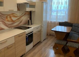 Сдам в аренду 1-ком. квартиру, 34 м2, Санкт-Петербург, проспект Металлистов, 117, муниципальный округ Финляндский