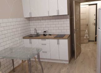 Сдаю в аренду квартиру студию, 22 м2, Санкт-Петербург, Политехническая улица, 6, метро Площадь Мужества