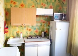 Продам 1-комнатную квартиру, 28.8 м2, Санкт-Петербург, улица Вавиловых, 10к1, улица Вавиловых