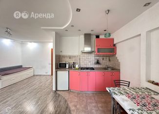 Сдается квартира студия, 44 м2, Москва, улица Маршала Бирюзова, 38