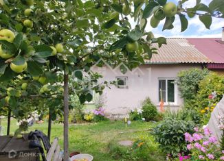 Продаю дом, 48 м2, рабочий посёлок Усть-Абакан, Трудовая улица