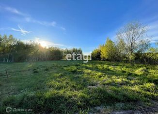 Продам участок, 30.6 сот., деревня Панфилово