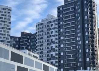 Продается квартира студия, 23 м2, Санкт-Петербург, Русановская улица, 20к3, муниципальный округ Народный
