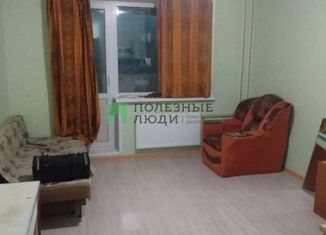 Сдам квартиру студию, 25 м2, деревня Хохряки, Муромская улица, 2